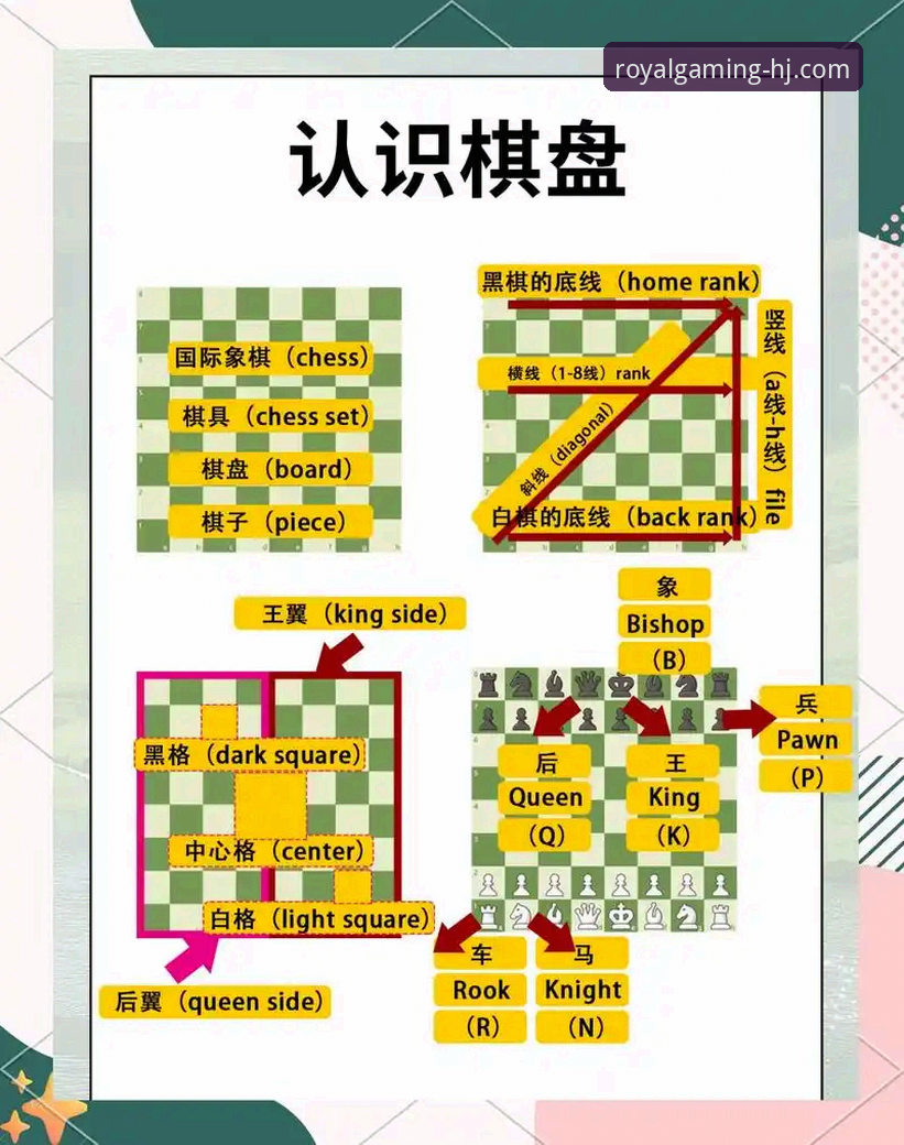皇家国际在线娱乐必备实用技巧：从新手到老手的完整指南